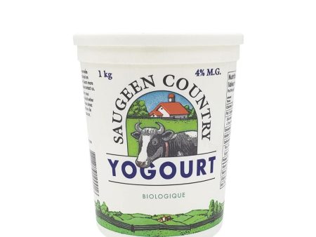 Yogourt Biologique 4.1% M.G. Cheap