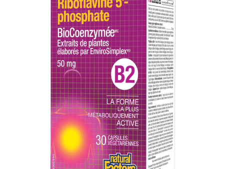 Riboflavine 5 Phosphate Biocoenzymée on Sale