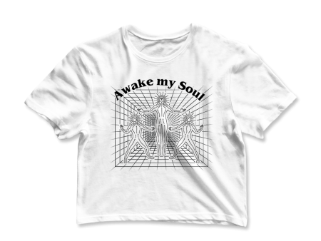 Awake My Soul Graphic Crop Tee Hot on Sale