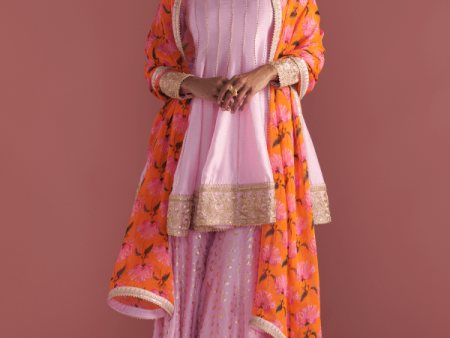 Baby Pink Springbud Sharara Set Online now