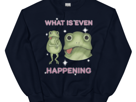 What Is Even Happening Graphic Sweatshirt Fashion