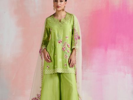 Zaida Kurta Set For Discount