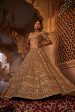 Zarin Lehenga Discount