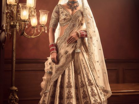 Aakruti Lehenga Online now