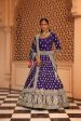 aasmaa purple lehenga with choli and dupatta Cheap