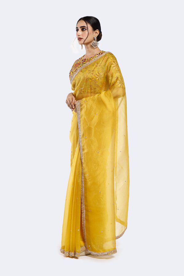 Siren Organza Saree Discount