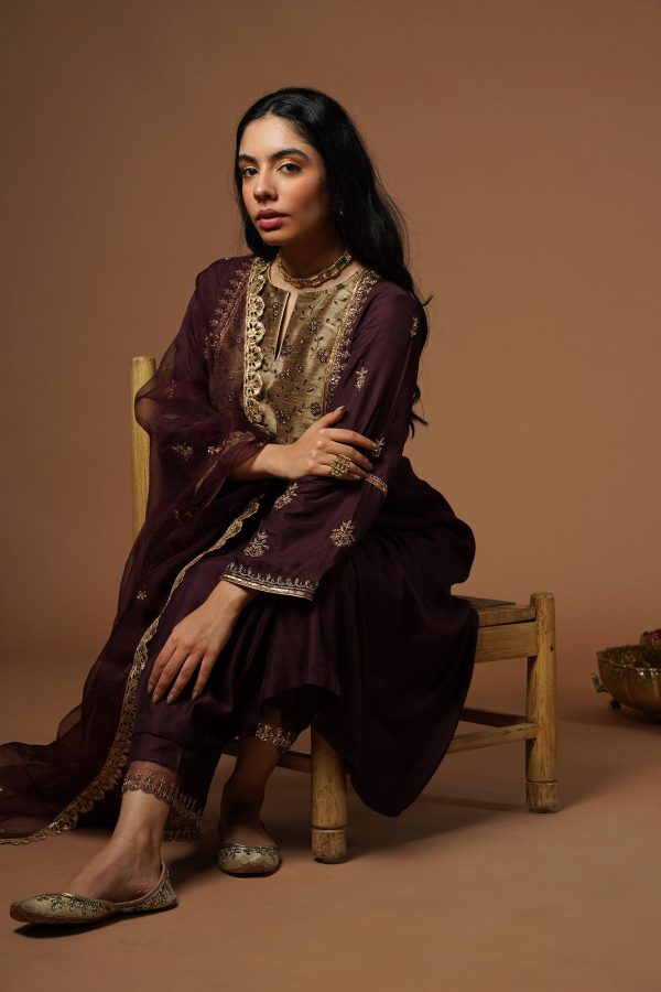 wine kalidar with embroidered velvet yoke and sleeves Online Hot Sale