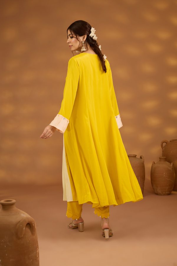 yellow colorblock embroidered kurta set with dupatta Online now