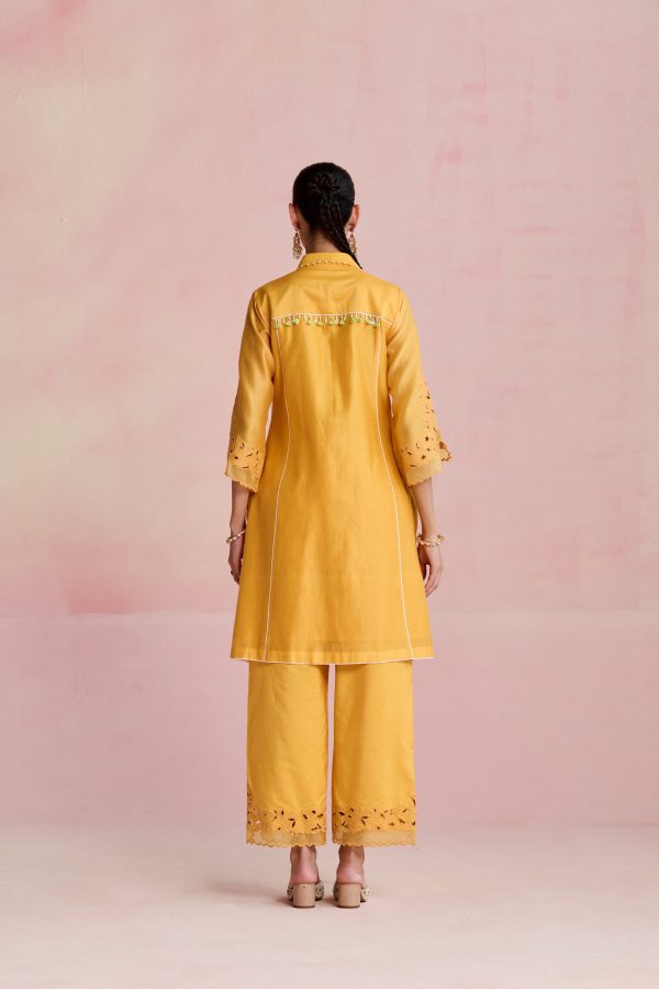 Vaani Kurta Set Online Hot Sale