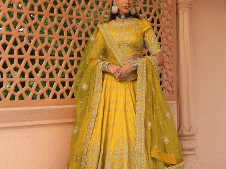 uzma mustard lehenga with blouse and dupatta Hot on Sale