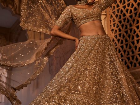 Zarin Lehenga Discount