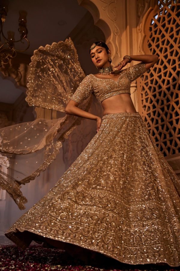 Zarin Lehenga Discount