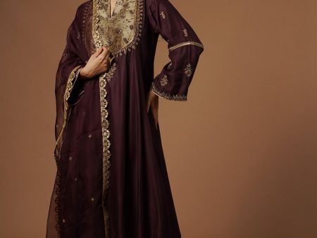 wine kalidar with embroidered velvet yoke and sleeves Online Hot Sale