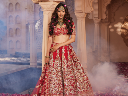 Shah Jahan Lehenga Hot on Sale