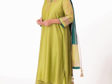 Tissue Patched Dupatta Dual Color Kurta Set Online now