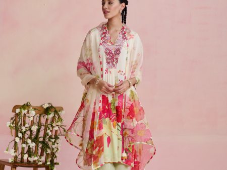 Ayla Kurta Set Hot on Sale